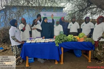 SARD-20241027_105629 SARD-20241027_105629