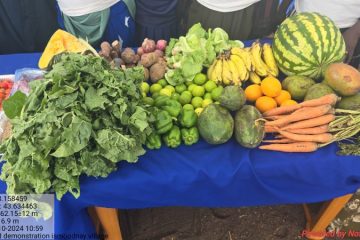 SARD-20241027_105958