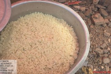 SARD-20241028_132012 SARD-20241028_132012