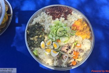 SARD-20241028_135359 SARD-20241028_135359