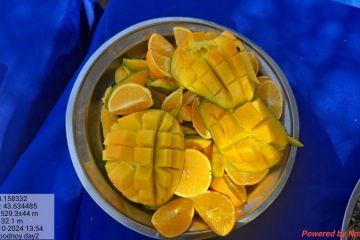 SARD-20241028_135420