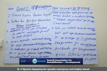 SARD-Untitled-1-08 SARD-Untitled-1-08